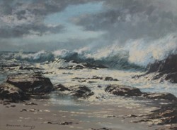 Beeuwen Gerryts 11 - Crop