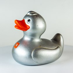 ☐ SILVER - MEDIUM