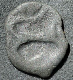 DSC00684