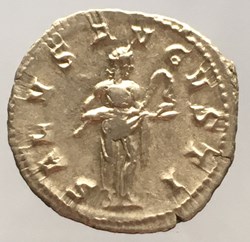Briac 272 - denier de GORDIEN III - SALVS AVGVSTI