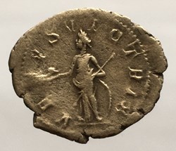 Briac 274 - denier de GORDIEN III - VENVS VICTRIX