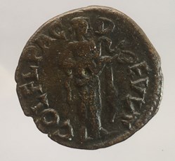 Provinciale - Bronze de Gordien III - COL FL PAC DEVLT