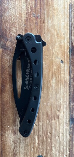 Smith&wesson pocket protector