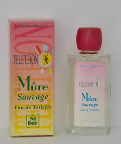 ROCHER Yves - Téléthon 96 - Mûre sauvage