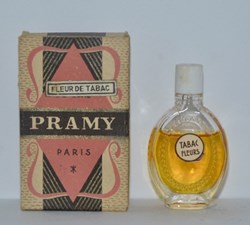 PRAMY - Fleur de Tabac