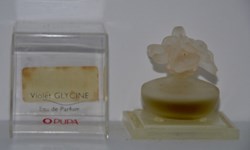 PUPA - Violet Glycine