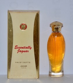 JAGUAR - Essentially