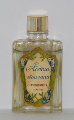 MONTERNIER Charles - Acacia souvenir