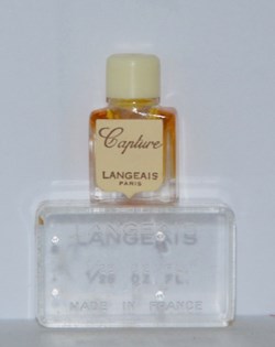 LANGEAIS - Capture