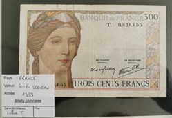 300 fr Serveau