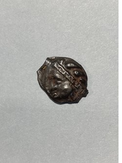 Potin au sanglier Scheers 186- Hybride classe Id1