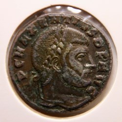 Follis - Maxence (308)