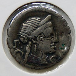 Naevia (79 av. JC) - Denier serratus