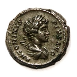 Denier - Caracalla (201)