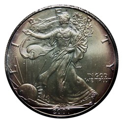 1 Dollar - Silver Eagle, 2000 (West Point)
