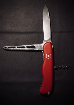 Victorinox - Cheese Knife