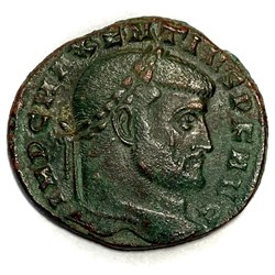 Follis - Maxence (308)