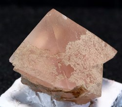 Fluorine rose (Chamonix, France)