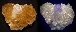 Fluorine (France)