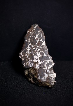 Pallasite (météorite)