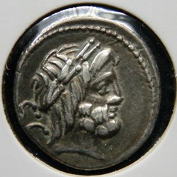 Procilia (80 av. JC) - Denier