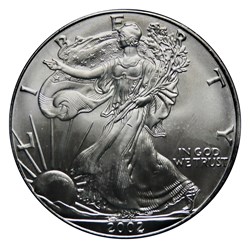 1 Dollar - Silver Eagle, 2002 (West Point)