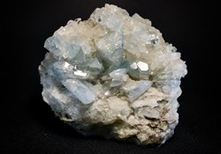 Célestine (arrêt de croissance)