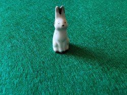 Lapin porcelaine