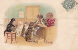 Chats - Au Tribunal