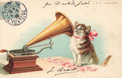 Chats - Chaton devant grammophone