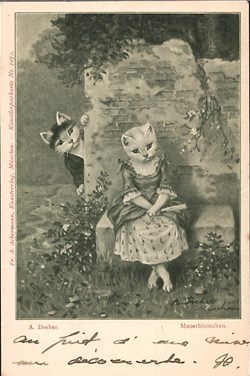 A. Dreher - n° 1072 - Giroflée