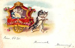 Chats - Carrosse