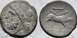 Apulie - Arpi - Zeus /Sanglier