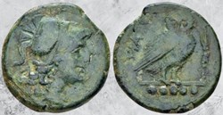Apulie - Teate - Chouette