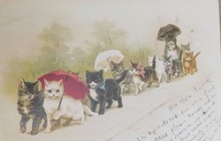 Chats - Cortège