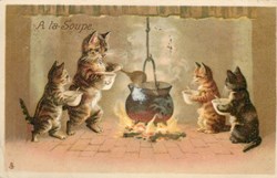 Chats - A la soupe - Autour du chaudron