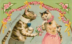 Chats - Amoureux verts - Série 678 - Amoureux