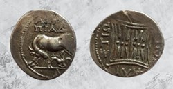 Illyrie - Apollonia - Vache veau