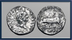Vespasien - Truie et procelets - denier