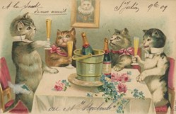 Chats - A table - Champagne ! - Série 744
