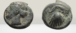 Carie - Iasos - Crevette / coquille