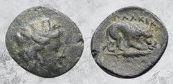 Mysie - Plakia - Lion