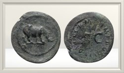 Domitien - Rhinocéros - quadrans