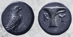 Eolide - Cyme - Aigle