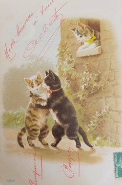 Chats - Couple Amoureux - Baiser sous la fenêtre - 14235