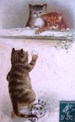 Chats - Boule de neige