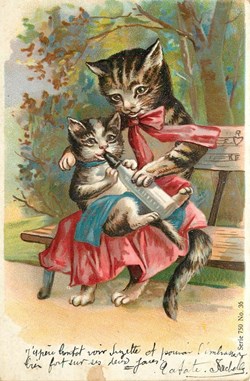Chats - Biberon sur un banc - Série 750 N° 36