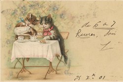 Chats - A table - L'heure du Thé ou café