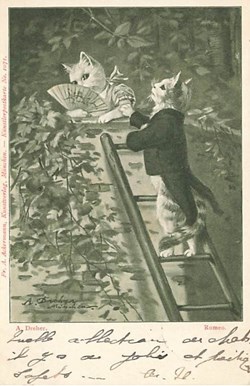 A. Dreher - n° 1071 - Roméo
