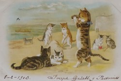 Chats - Au bord de la mer - A la plage - N°139